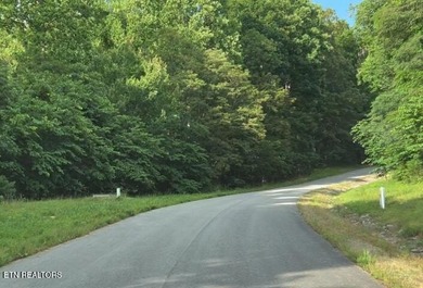 Welcome to Norris Lake front Community: Rock Harbor! An easy - photo 11