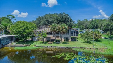 Lake Home For Sale in Polk City, Florida