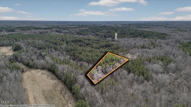 Lake Acreage For Sale in Henderson, North Carolina