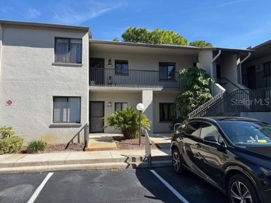 (private lake, pond, creek) Condo For Sale in Dunedin Florida