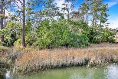 Opportunity to own a marshfront lot for under $240,000 in the - photo 3