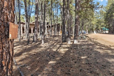Opportunity knocks with this level, half-acre lot offering the - photo 11