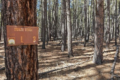 Opportunity knocks with this level, half-acre lot offering the - photo 12