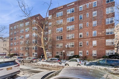 Elegant Forest Hills Living: Renovated Jr-4 Near Austin Street - photo 19