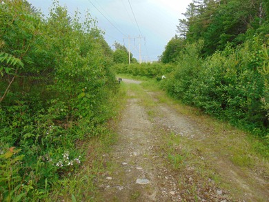 Connecticut River - Essex County Acreage For Sale in Concord Vermont