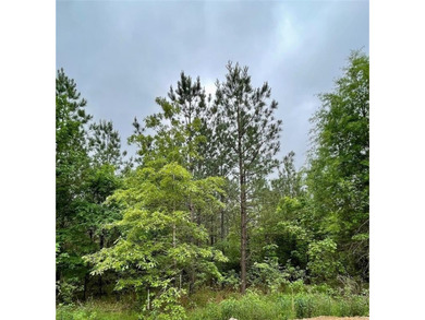 Broken Bow Lake Lot For Sale in Broken Bow Oklahoma