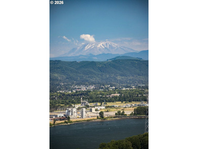 Million Dollar View!! Enjoy breathtaking 150-degree panoramic - photo 25