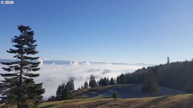 Million Dollar View!! Enjoy breathtaking 150-degree panoramic - photo 26