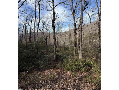 Nestled in the mountains just minutes from Greenville, SC, make - photo 1