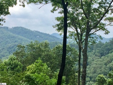 Nestled in the mountains just minutes from Greenville, SC, make - photo 2