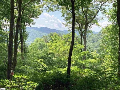 Nestled in the mountains just minutes from Greenville, SC, make - photo 3
