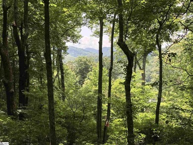 Nestled in the mountains just minutes from Greenville, SC, make - photo 4