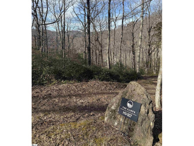 Nestled in the mountains just minutes from Greenville, SC, make - photo 5