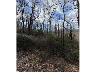 Nestled in the mountains just minutes from Greenville, SC, make - photo 6