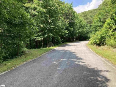 Nestled in the mountains just minutes from Greenville, SC, make - photo 7