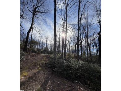 Nestled in the mountains just minutes from Greenville, SC, make - photo 8