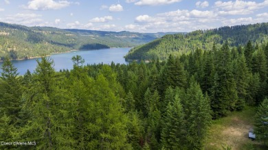 Lake Acreage For Sale in Kendrick, Idaho