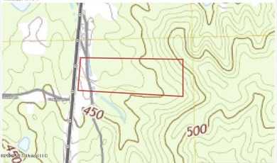 +/- 15 acre homesite or recreational property in Leake County - photo 16