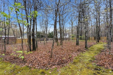 Feel the warmth of this home the moment you walk through the - photo 32