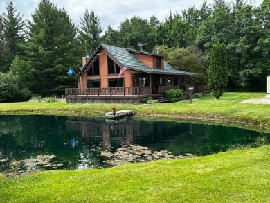 (private lake, pond, creek) Home For Sale in Mio Michigan