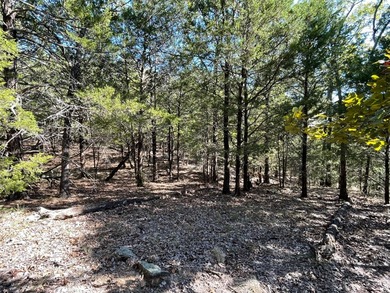 SELLER FINANCING terms 10% down 20 year loan at 7.99% interest - photo 4