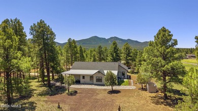 ON CITY & WATER, NO HAULING HERE! Set on over an acre in sought - photo 45