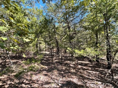 SELLER FINANCING terms 10% down 20 year loan at 7.99% interest - photo 8