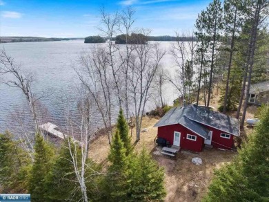 Bear Island Lake Home For Sale in Babbitt Minnesota