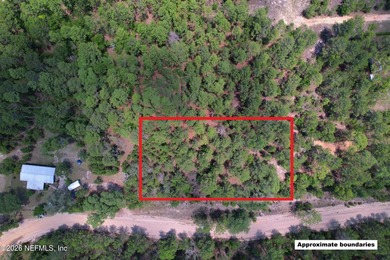 Lake Galilee Lot For Sale in Interlachen Florida