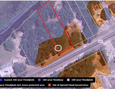 Lake Lot For Sale in Inverness, Florida