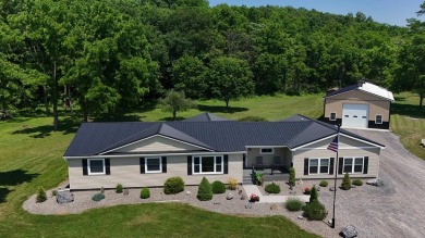 Seneca Lake Home For Sale in Lodi New York