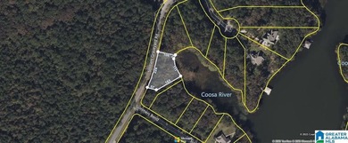Waterfront lot in Water's Edge that won't break the bank! Enjoy - photo 3