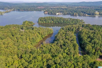 Waterfront lot in Water's Edge that won't break the bank! Enjoy - photo 7