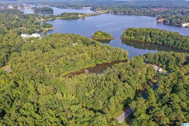 Waterfront lot in Water's Edge that won't break the bank! Enjoy - photo 8