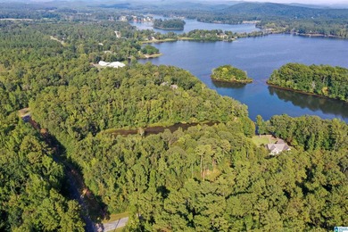 Waterfront lot in Water's Edge that won't break the bank! Enjoy - photo 9