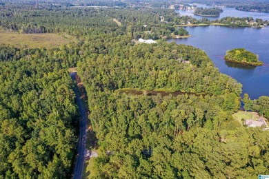 Waterfront lot in Water's Edge that won't break the bank! Enjoy - photo 10