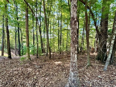 Lake Dakwa Lot For Sale in Ellijay Georgia