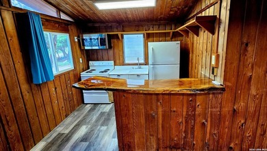 Unique property located in the tree covered hills above Medina - photo 12