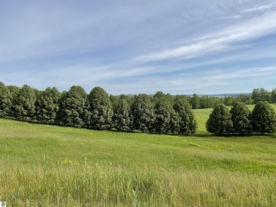 Bay Hill offers an opportunity to become part of the Leelanau - photo 2