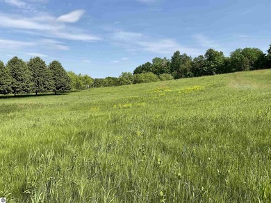 Bay Hill offers an opportunity to become part of the Leelanau - photo 4
