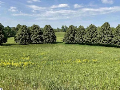 Bay Hill offers an opportunity to become part of the Leelanau - photo 5