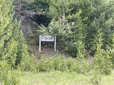 Bay Hill offers an opportunity to become part of the Leelanau - photo 7