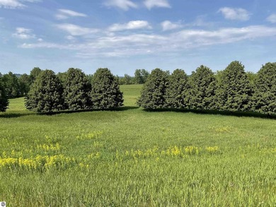 Bay Hill offers an opportunity to become part of the Leelanau - photo 8