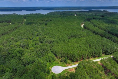 Lake Lot For Sale in Tignall, Georgia