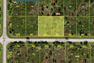 The perfect place to build your new Florida home is on this - photo 3