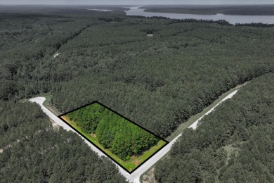 Lake Lot For Sale in Tignall, Georgia