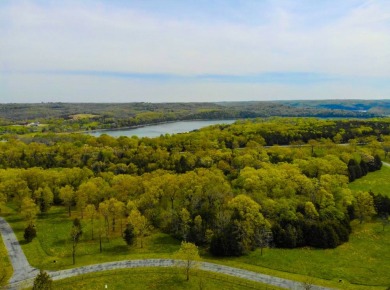 Table Rock Lake Acreage For Sale in Galena Missouri