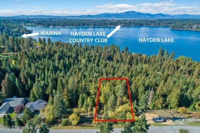 Hayden Lake Lot For Sale in Hayden Idaho