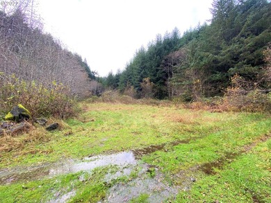 Two prime parcels of land totaling 33.58 acres, offering a - photo 15