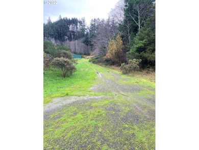 Two prime parcels of land totaling 33.58 acres, offering a - photo 16